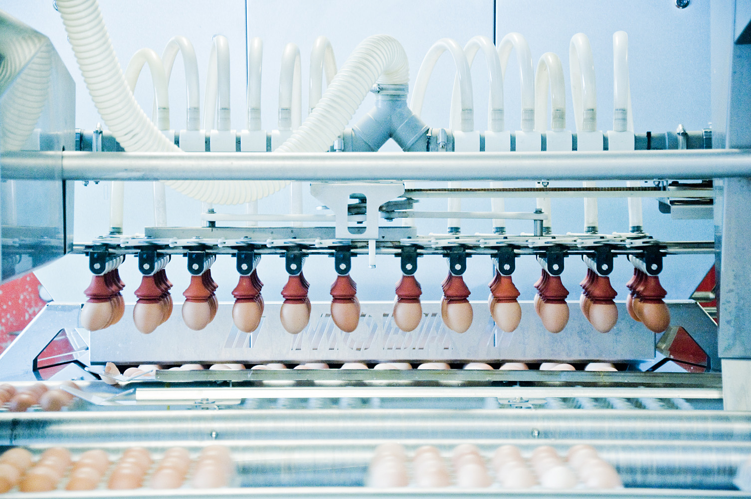 PAKKERIET I CHRISTIANSFELD