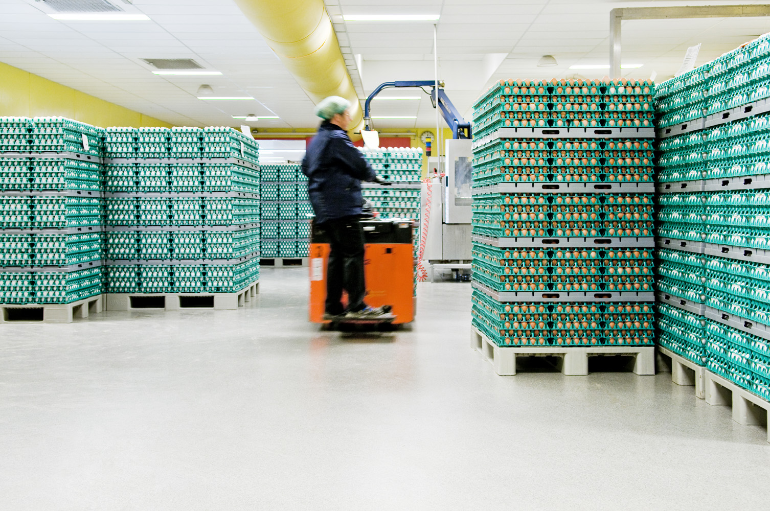 PAKKERIET I CHRISTIANSFELD